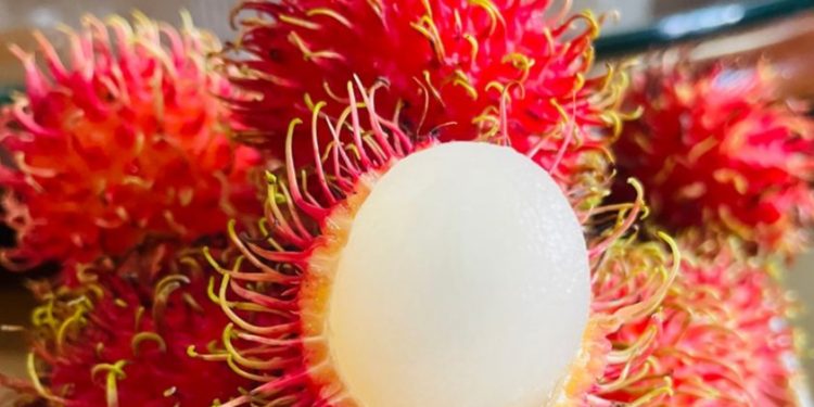 Aman dan Kaya Nutrisi, Cek Manfaat Konsumsi Buah Rambutan Ini untuk Ibu Hamil