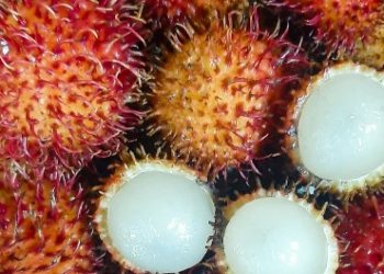 Perlu Tahu! Orang dengan Kondisi Ini Sebaiknya Tidak Makan Buah Rambutan, Siapa Saja?