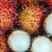 Perlu Tahu! Orang dengan Kondisi Ini Sebaiknya Tidak Makan Buah Rambutan, Siapa Saja?