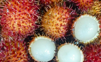 Perlu Tahu! Orang dengan Kondisi Ini Sebaiknya Tidak Makan Buah Rambutan, Siapa Saja?