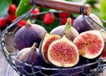 Ini 6 Manfaat Buah Tin untuk Kecantikan, Bikin Kulit Cerah Alami