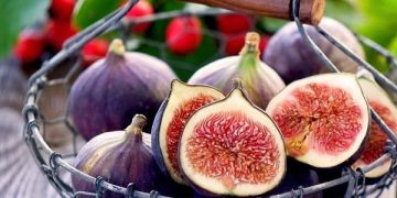 Ini 6 Manfaat Buah Tin untuk Kecantikan, Bikin Kulit Cerah Alami