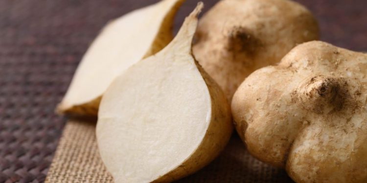 Buah Bengkoang Bisa Bikin Kulit Makin Glowing, Ini Manfaat yang Perlu Diketahui