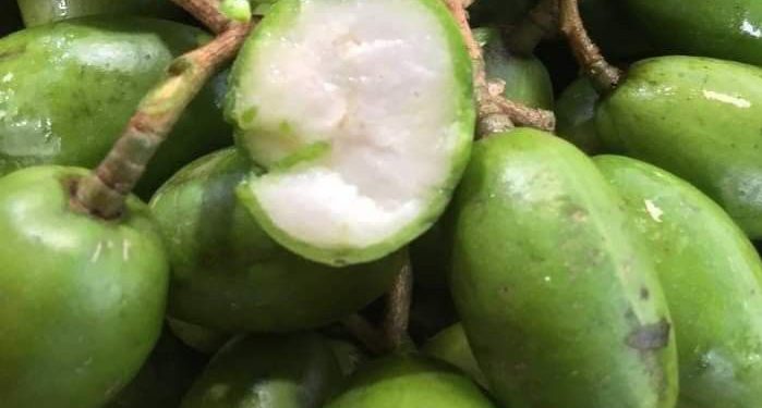 Ibu Hamil Perlu Konsumsi Buah Kedondong, Cek Manfaat di Sini, Ampuh Mendukung Perkembangan Janin