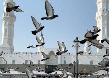 Hukum Menyakiti Hewan Tanpa Sebab, Begini Penjelasan Menurut Islam