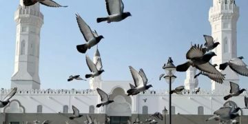 Hukum Menyakiti Hewan Tanpa Sebab, Begini Penjelasan Menurut Islam