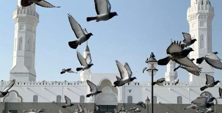 Hukum Menyakiti Hewan Tanpa Sebab, Begini Penjelasan Menurut Islam