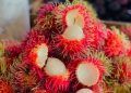 Menarik, Ini 6 Manfaat Kulit Rambutan untuk Tubuh, Kaya Antioksidan Alami