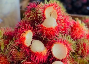 Menarik, Ini 6 Manfaat Kulit Rambutan untuk Tubuh, Kaya Antioksidan Alami