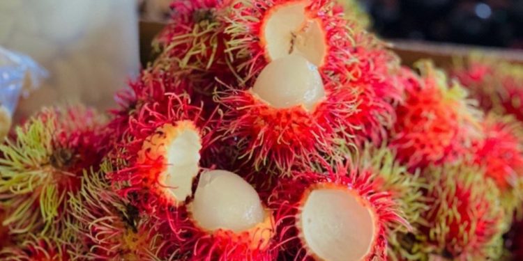 Menarik, Ini 6 Manfaat Kulit Rambutan untuk Tubuh, Kaya Antioksidan Alami