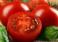 Ini Efek Samping dari Buah Tomat bagi Kesehatan, Mulai dari Pencernaan hingga Sebabkan Alergi