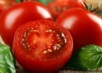 Ini Efek Samping dari Buah Tomat bagi Kesehatan, Mulai dari Pencernaan hingga Sebabkan Alergi