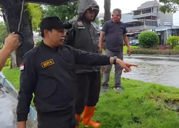 Hujan Deras Sejak Pagi, Walikota Tinjau Ruas Jalan yang Tergenang Air di Kota Bengkulu