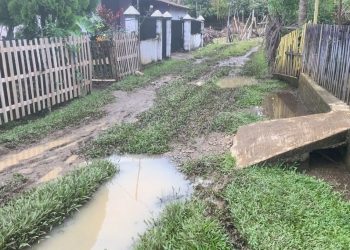 Laporan Warga Digubris, Jalan Berlumpur di Gang Abad Manna Segera Ditangani Pemkab Bengkulu Selatan