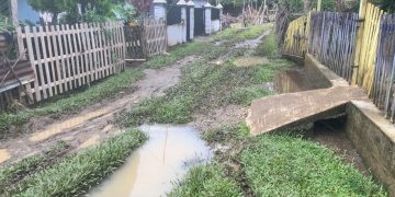 Laporan Warga Digubris, Jalan Berlumpur di Gang Abad Manna Segera Ditangani Pemkab Bengkulu Selatan