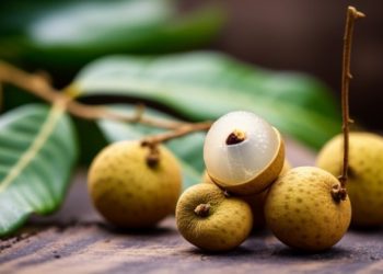 Jaga Kelembaban Kulitmu dengan Gunakan Masker Kelengkeng, Ini 7 Manfaatnya untuk Dunia Kecantikan