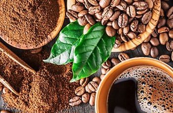 Kopi Bisa Menjaga Kesehatan Liver, Cek Manfaat di Sini! Cukup Rutinkan