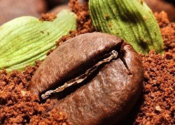 Efek Samping Lain Kopi yang Jarang Diketahui! Konsumsi Berlebihan Bisa Sebabkan Kerusakan Otak