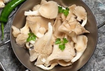 6 Manfaat Jamur untuk Kesehatan Ibu Hamil, Salah Satunya Ampuh Menjaga Daya Tahan Tubuh