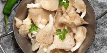 6 Manfaat Jamur untuk Kesehatan Ibu Hamil, Salah Satunya Ampuh Menjaga Daya Tahan Tubuh