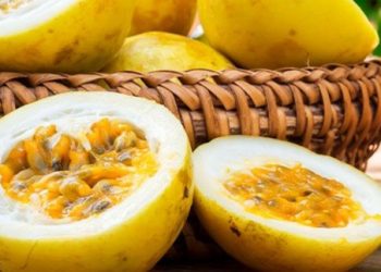 Minuman Buah Markisa Ini Enak dan Simpel, Cek Cara Membuat di Sini