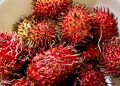 Cek Efek Samping Makan Buah Rambutan Berlebihan! Bisa Memicu Naiknya Asam Lambung