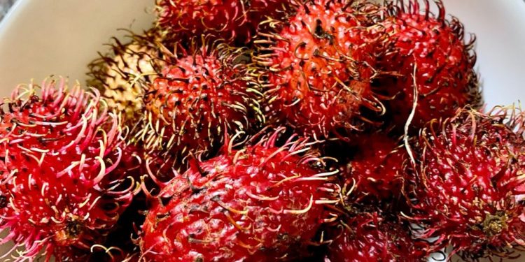 Cek Efek Samping Makan Buah Rambutan Berlebihan! Bisa Memicu Naiknya Asam Lambung