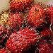 Cek Efek Samping Makan Buah Rambutan Berlebihan! Bisa Memicu Naiknya Asam Lambung