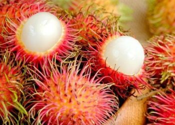 Hati-hati Berlebihan, Ini Efek Samping Konsumsi Buah Rambutan, Salah Satunya Asam Lambung Naik