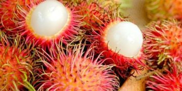 Hati-hati Berlebihan, Ini Efek Samping Konsumsi Buah Rambutan, Salah Satunya Asam Lambung Naik
