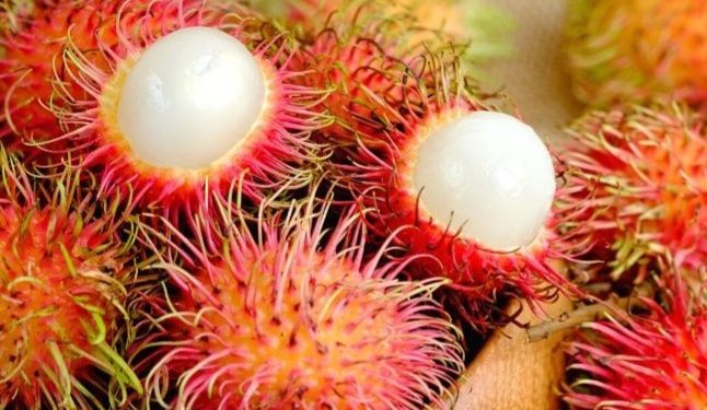 Hati-hati Berlebihan, Ini Efek Samping Konsumsi Buah Rambutan, Salah Satunya Asam Lambung Naik