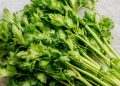 Manfaat Lain Daun Seledri untuk Kesehatan, Ampuh Menjaga Tekanan Darah, Cek Sekarang