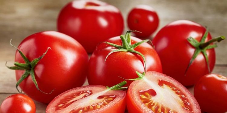 Manfaat Buah Tomat Ini Ampuh Melembabkan Kulit, Cek Lainnya di Sini