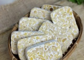 Tempe Punya Kandungan Baik untuk Tubuh, Cek Manfaat di Sini! Ampuh Menjaga Pencernaan