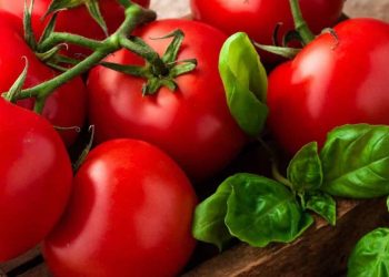Cek di Sini! Olahan Tomat Ini Baik untuk Perawatan Kulit, Salah Satunya Jerawat