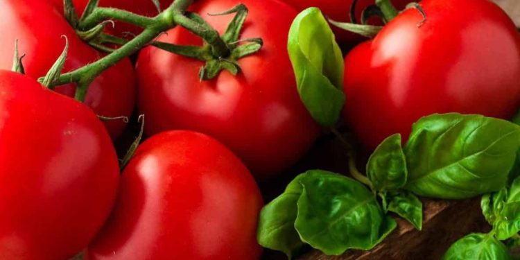 Cek di Sini! Olahan Tomat Ini Baik untuk Perawatan Kulit, Salah Satunya Jerawat