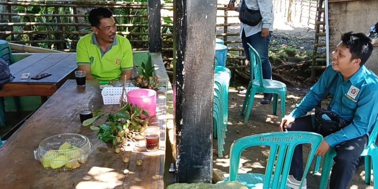 Warga Padang Tambak Keluhkan Serbuan Lalat dari Kandang Ayam, Kades Ancam Tutup Operasional
