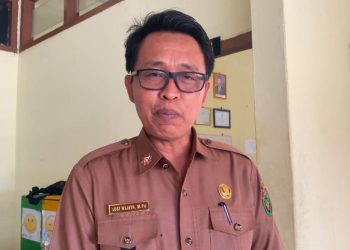 Nasib Guru PPPK Paruh Waktu, Penempatan Ditentukan Sesuai Kebutuhan Sekolah di Aplikasi RTG
