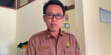Nasib Guru PPPK Paruh Waktu, Penempatan Ditentukan Sesuai Kebutuhan Sekolah di Aplikasi RTG