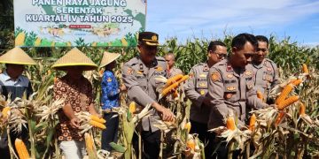 Polres Bengkulu Selatan Panen Jagung Serentak Kuartal IV 2025