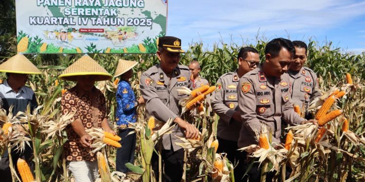 Polres Bengkulu Selatan Panen Jagung Serentak Kuartal IV 2025