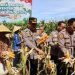 Polres Bengkulu Selatan Panen Jagung Serentak Kuartal IV 2025