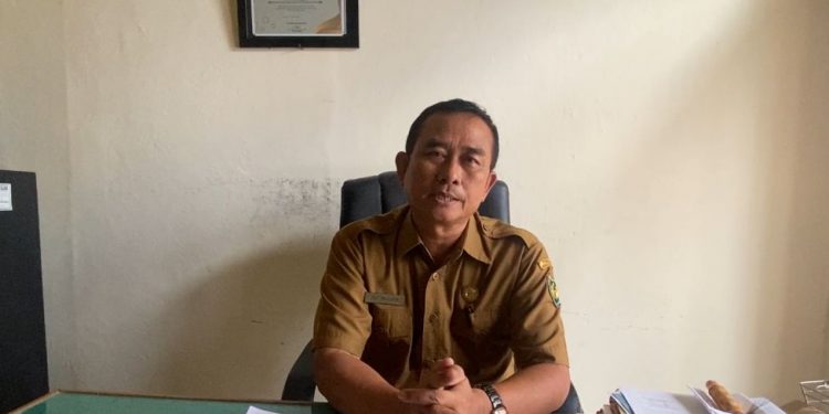 1.000 Dosis Vaksin PMK Masuk Bengkulu Selatan, Cegah Wabah Hewan Ternak