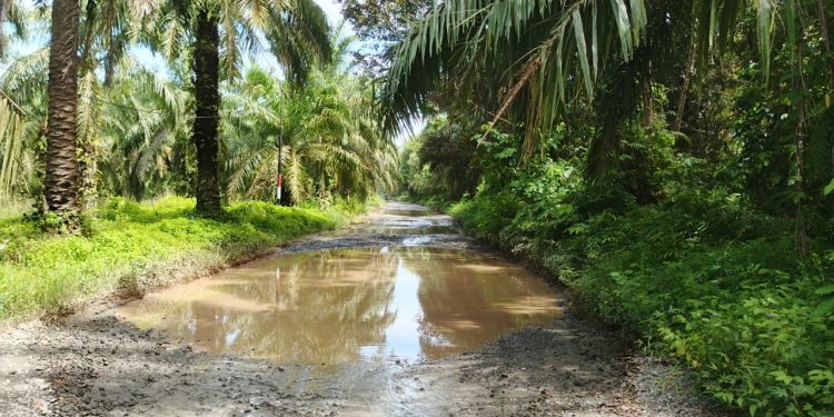 Jalan Peninggalan Inggris di Pesisir Seluma Rusak, Kondisi Jalan Dipenuhi Kubangan Air