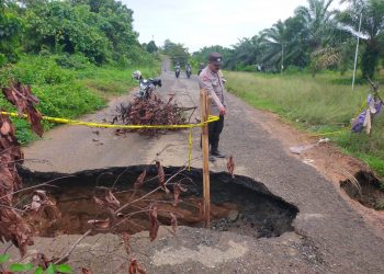 Pemkab Seluma Alokasikan Rp250 Juta, Perbaiki Jalan ke Pasar Sembayat
