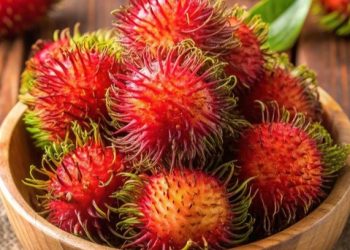Konsumsi Buah Rambutan Baik untuk Kesehatan Tubuh, 6 Manfaat Ini Dapat Diketahui