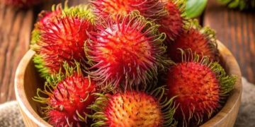 Konsumsi Buah Rambutan Baik untuk Kesehatan Tubuh, 6 Manfaat Ini Dapat Diketahui