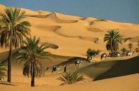 Riwayat Kisah Abu Dujanah dan Pohon Kurma yang Membuat Rasulullah Menangis, Siapakah Sosok Ini?