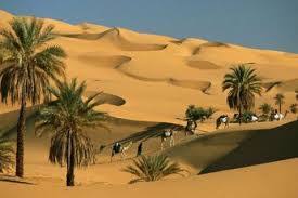 Riwayat Kisah Abu Dujanah dan Pohon Kurma yang Membuat Rasulullah Menangis, Siapakah Sosok Ini?