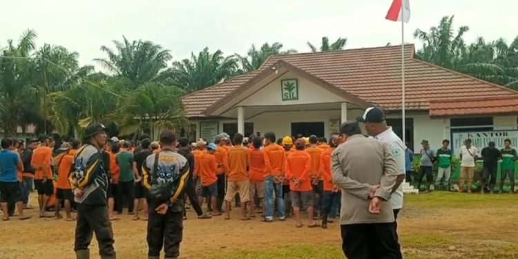 Upah Panen Rp120 per Kg Dinilai Tak Sesuai, Buruh PT SIL II Seluma Lakukan Mogok Kerja